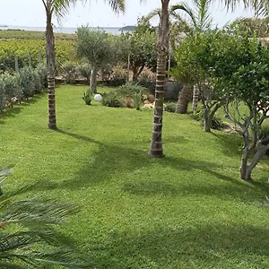 Stella Fenicia , Marsala Italy